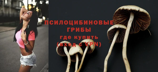 крисы Алзамай